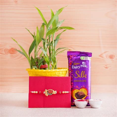 Send Rudraksha Rakhi With Lucky Bamboo And Chocolate Online