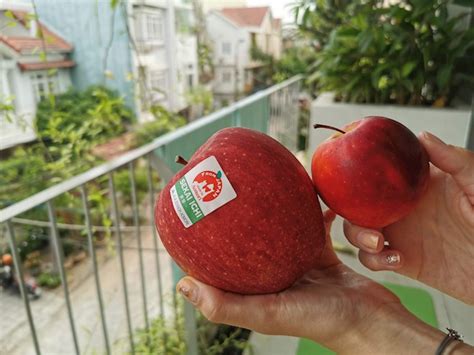 Asian Apples: 9 Apple Types in Asia | TasteAtlas