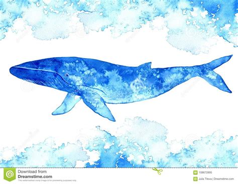 Big Blue Wal Und Wasser Gezeichnete Illustration Des Aquarells Hand