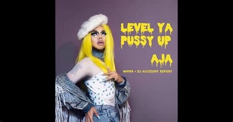 Level Ya Pussy Up feat WNNR DJ Accident Report Single Aja的专辑 Apple Music