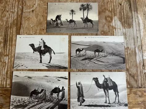 Lot De Cartes Postales Anciennes Dalg Rie M Hariste Dans Le D Sert