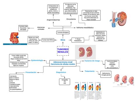 Mapa Conceptual De Caracteristicas Y Descripci N De Tumores Renales