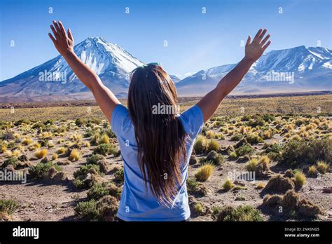 Andes Mountains,volcanoes Licancabur and Juriques, Altiplano, Puna ...