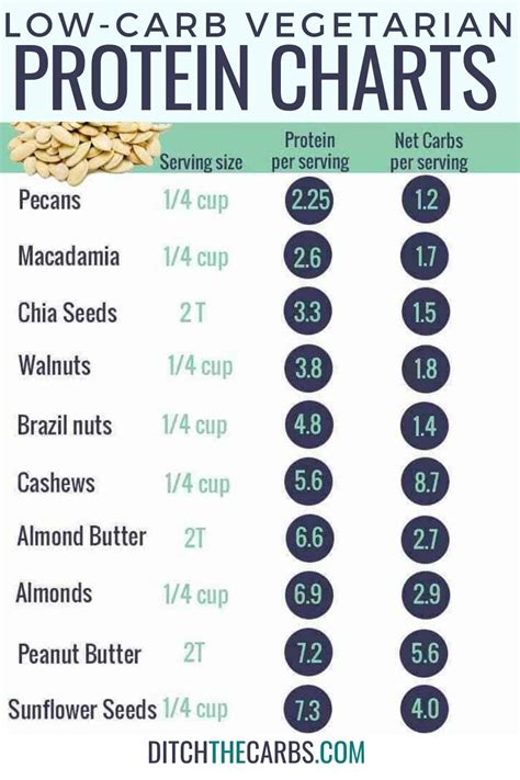 Top Vegetarian Protein Sources Artofit