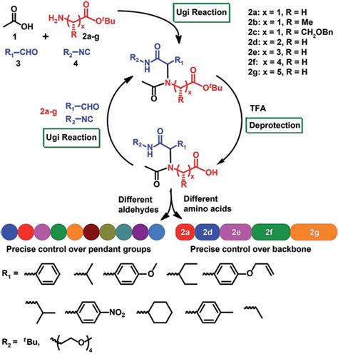 Synthesis strategy towards sequence-defined poly(amino acid)s via amino ...