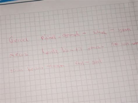 Sahne ile Gerçek Mecaz Terim cümleri örnek verir misiniz acill ödevimi