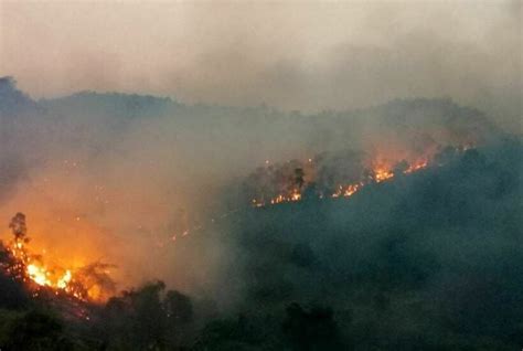 Northern Thailand S Air Pollution Reaches Hazardous Levels Thaiger