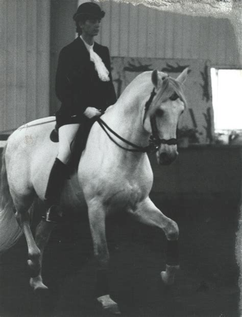 The Career and Contributions of Bettina Cirone 26