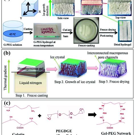 Schematic Representation Of The Synthesis Of Macroporous Gel Peg