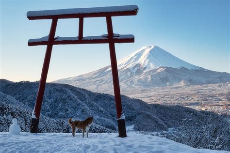 ロイヤリティフリー Windows10 ロック画面 撮影場所 カトロロ壁紙