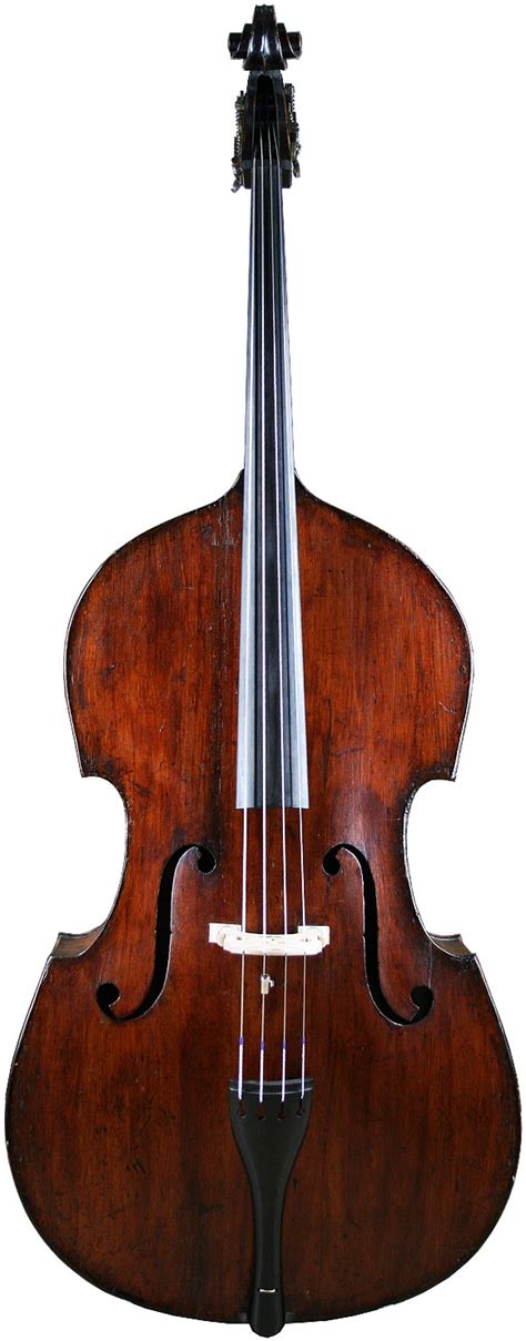 80 Best Stand Up Bass Images On Pinterest Double Bass Music Instruments And Musical Instruments