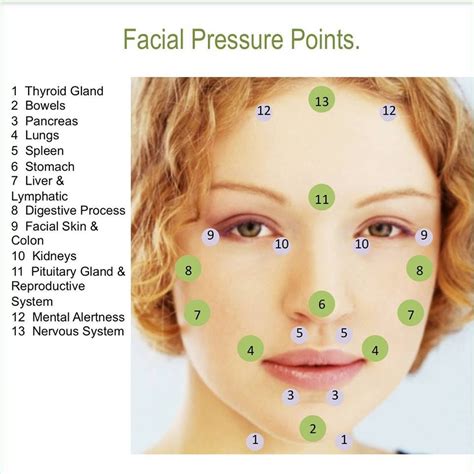 Healing Reflexology Acupressure Therapy Reflexology Chart