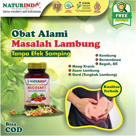 Jual Obat Asam Lambung Maag Kronis Paling Ampuh Asam Lambung Maag Gerd