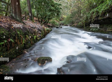 Rouken Glen Park Glasgow Scotland Stock Photo Alamy