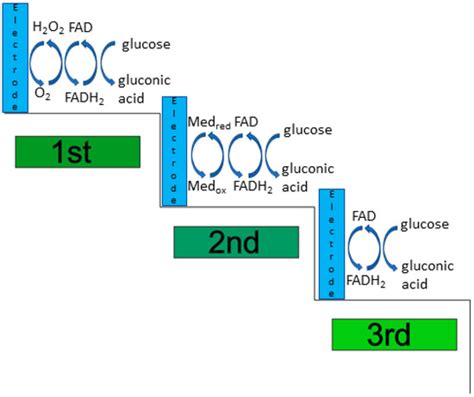 Sensors Free Full Text Recent Advances In Enzymatic And Non