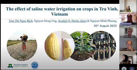 Exploring The Potential Of Saline Water Irrigation As A Climate Change