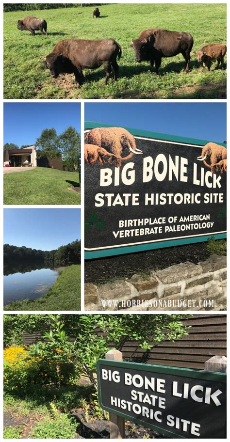 Big Bone Lick State Park, Kentucky - Hobbies on a Budget