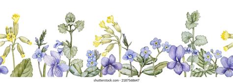 Watercolor Drawing Seamless Border Spring Flowers Stock Illustration ...