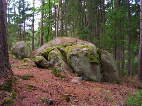 Free Images Tree Rock Wilderness Trail Stone Jungle Park