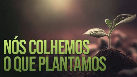 N S Colhemos O Que Plantamos Hist Rias De Sabedoria Alexandre