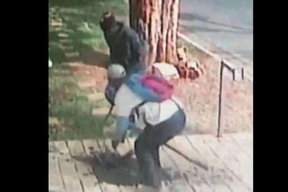 Watch Criminals Steal Brass Water Meter In Seconds Video