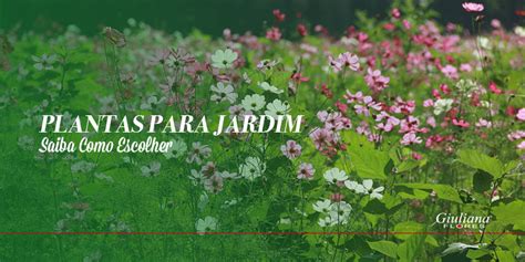 Plantas Para Jardim Saiba Como Escolher Blog Giuliana Flores