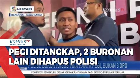 Misteri Kasus Vina Polisi Tetapkan Pegi Otak Pembunuhan 2 DPO Lain