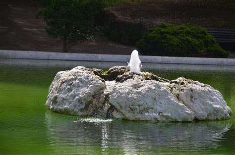 Scoglio Con Fontana Passeggiata A Villa Borghese Vittorio Cardini