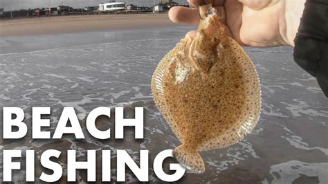 Beach Fishing For Flatfish Sea Fishing UK YouTube