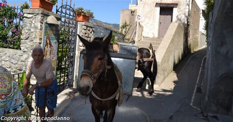 Positano MY LIFE FRANA Nel Centro Di NOCELLE