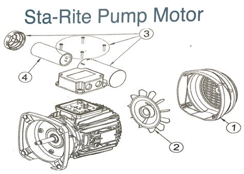 Sta Rite Pump Motor Parts | Hot Sex Picture