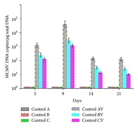 A MCMV Viral Load In Lung Tissues Of BALB C Mice Of The Control