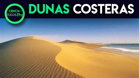 DUNAS COSTERAS CONSERVACION AMBIENTAL