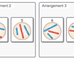 Mastering Ch Flashcards Quizlet