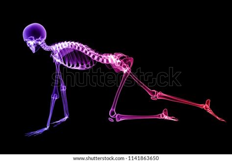 X Ray Human Body 3d Render Stock Illustration 1141863650 Shutterstock