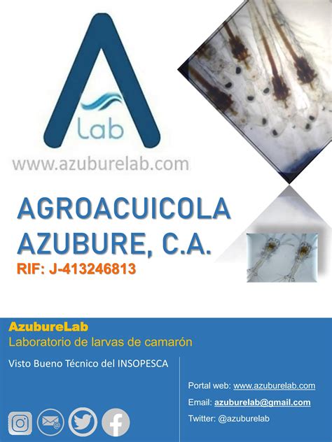 AZUBURELAB By Agro Ius Issuu