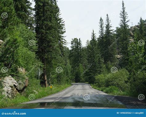 Scenic Drive at Needles Highway, South Dakota Stock Photo - Image of ...