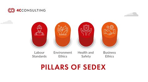 What Is Sedex Smeta Audits Pillar Pillar All You Need To Know