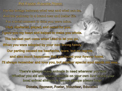 Volunteers are sharing their best stories from animal foster care near me 3