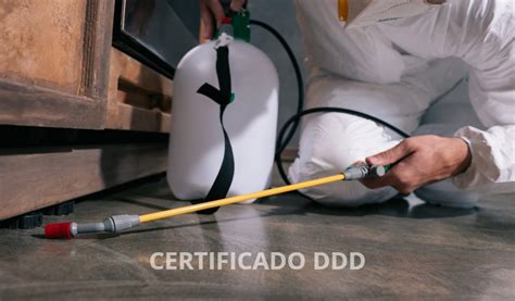 Certificado Control De Plagas Obligatorio Todo Lo Que Debes Saber