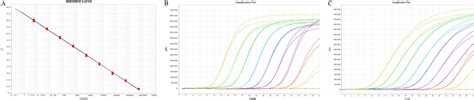 Standard Curves For The Quantitation Of Htlv And Rpph Gene By Qpcr