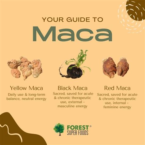 Your Guide To Maca Black Maca Maca Feminine Energy