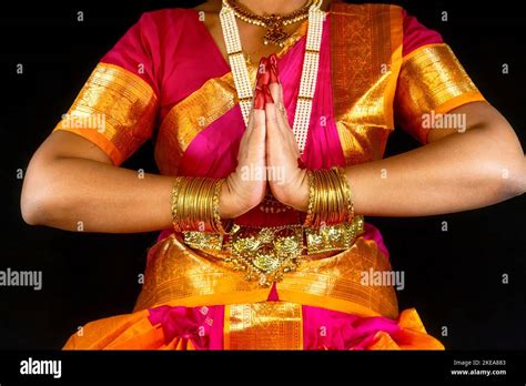 bharatanatyam mudra images bharatanatyam mudras vectorsbharatanatyam