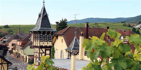 Trimbach - La Revue du vin de France