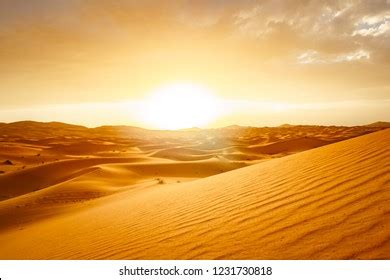 432,108 Desert Sun Images, Stock Photos & Vectors | Shutterstock