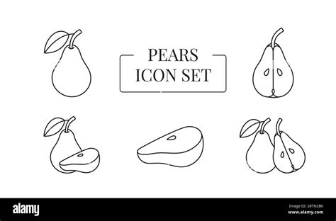 Pear Whole And Half Cut Into Slices Set Of Line Icons In Vector Stock