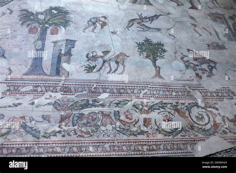 Great Palace Mosaic Museum Istanbul Turkey Stock Photo Alamy