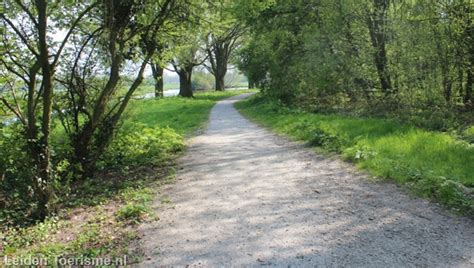 Polderpark Cronesteyn