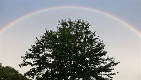 Что такое радуга? (описание, фото и видео)