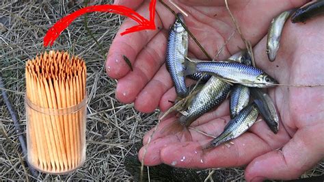 How To Make A Fish Trap From Toothpicks And A Plastic Bottle YouTube